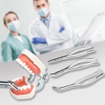 Щипцы для удаления зубов у взрослых, плоскогубцы, щипцы для остаточного зубного корня, инструмент для хирургического извлечения зубов у стоматолога Fordental Clinic
